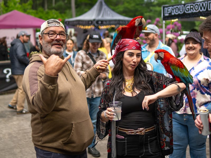 Parrot festival